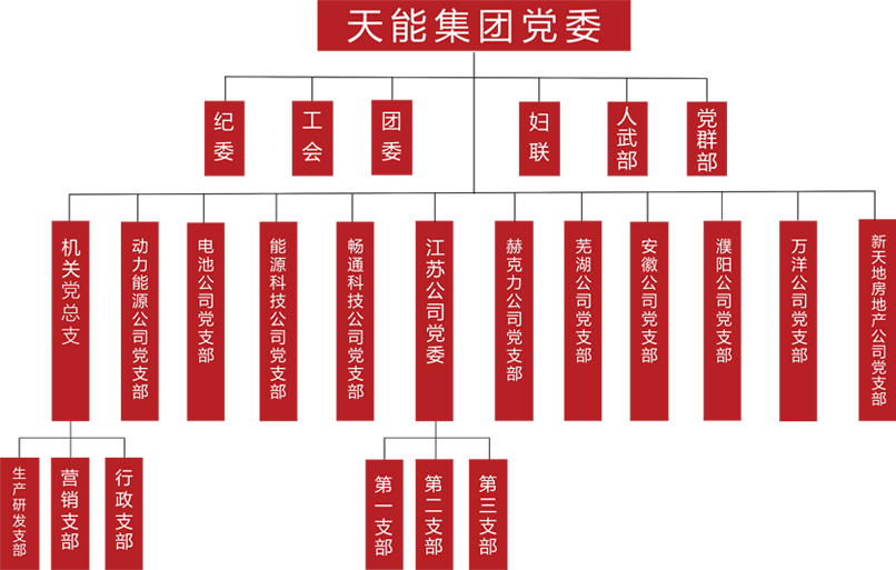AG环亚集团建团党委组织架构